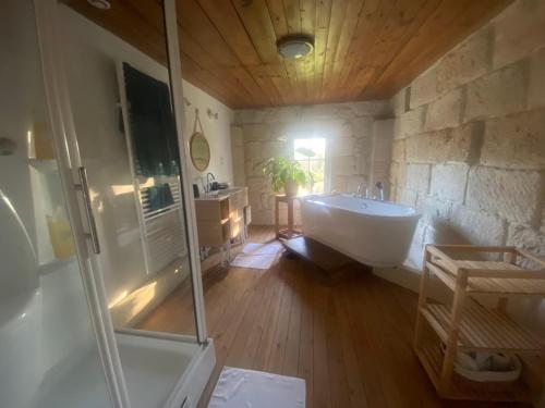 a bathroom with a shower and a sink and a tub at La Belle Verte in Laruscade