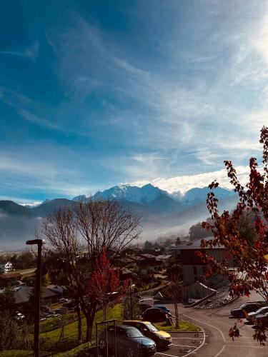 Vue sur le MontBlanc