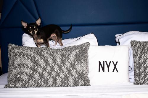a dog standing on top of a bed with pillows at NYX Hotel Limassol in Limassol