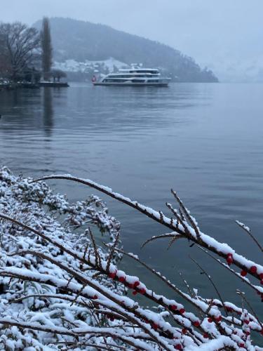 a boat on the water with snow covered branches at Chalet Oz in Vitznau