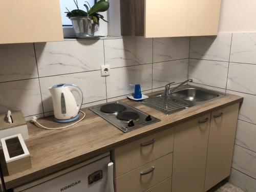 una cocina con fregadero y encimera en Apartments Dunja, en Novi Sad
