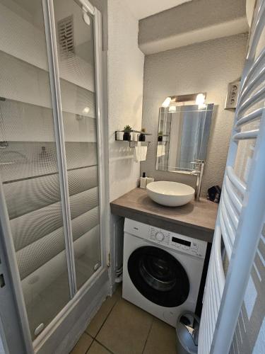 une salle de bain avec une machine à laver et un lavabo dans l'établissement L'écrin du lac, au Barcarès