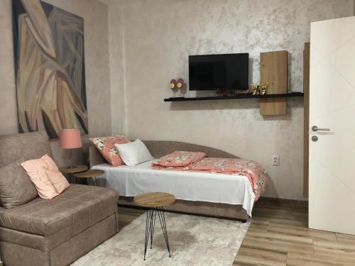 ein Schlafzimmer mit einem Bett, einer Couch und einem Fernseher in der Unterkunft Apartments Dunja in Novi Sad