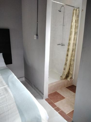 a bedroom with a bed and a shower in a room at Vumasky self catering in Ladysmith
