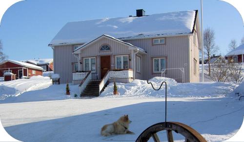 a dog sitting in the snow in front of a house at Lomamaja Pekonen Apartments in Muonio