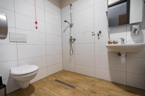 a bathroom with a toilet and a sink at Słoneczne Wzgórze in Tarnów