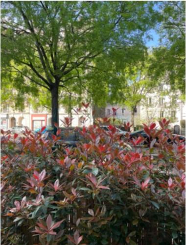 Photo de la galerie de l'établissement Appartement avec beau jardin, à Paris