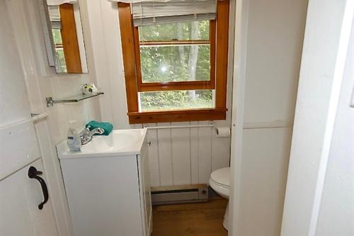 a bathroom with a toilet and a sink and a window at Lakeside Cottage on Torch Lake in Alden