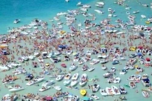 a crowd of boats in the water at a beach at Lakeside Cottage on Torch Lake in Alden