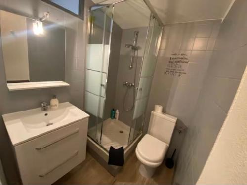 een badkamer met een douche, een toilet en een wastafel bij Confort & Cosy Proche centre ville in Valence
