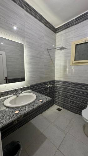 a bathroom with a sink and a mirror and a toilet at Desert Hotel Dahab in Dahab