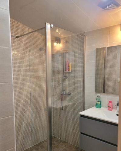 une salle de bain avec douche et lavabo dans l'établissement Petite Maison avec son jardin et accès indépendant à 14 mn de paris, à Deuil-la-Barre