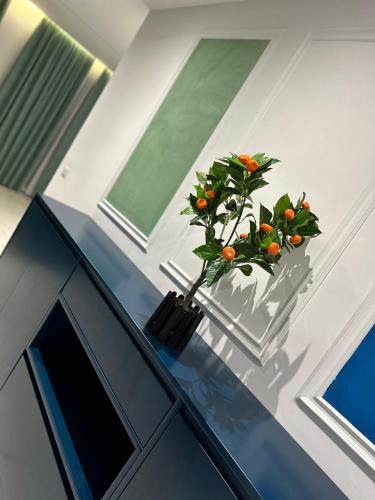 a plant sitting on top of a glass table at EKAM Sun Apartments in Golem
