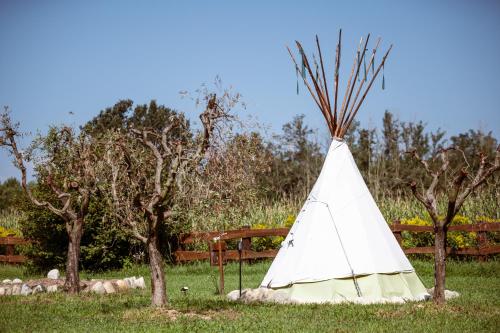 a white teepee in a field with trees at Agricampeggio Equinox in Carpignano Sesia