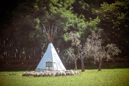 a group of sheep in a field with a teepee at Agricampeggio Equinox in Carpignano Sesia