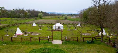 a field with a garden with trees and a fence at Agricampeggio Equinox in Carpignano Sesia