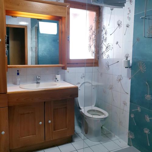 une salle de bain avec toilettes, lavabo et miroir dans l'établissement Chalet Les Barmés, à Champagny-en-Vanoise