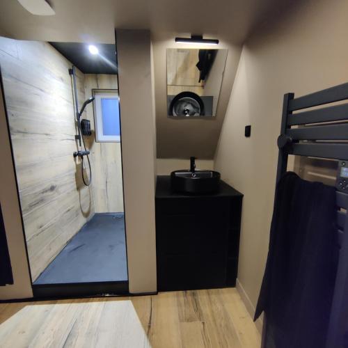 La petite salle de bains est pourvue d'une douche et d'un lavabo. dans l'établissement Appartement avec jacuzzi, à Villiers-sur-Orge