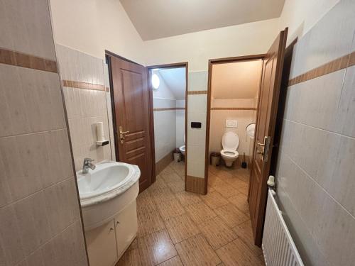 a bathroom with a sink and a toilet at Zámeček Kaliště in Poddubí