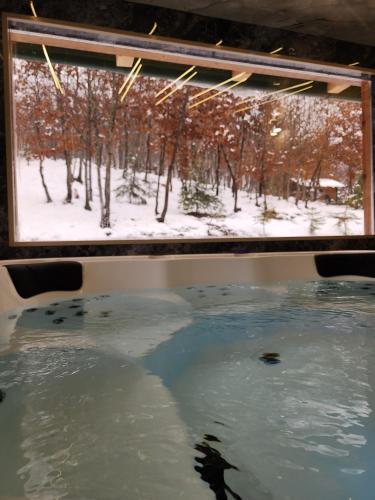 a window of a hot tub with a view of trees at Koliba Pčelica 1-SPA in Bijelo Polje