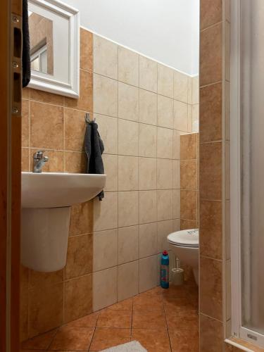 een badkamer met een wastafel en een toilet bij 1 st may plaza de luxe in Bratislava