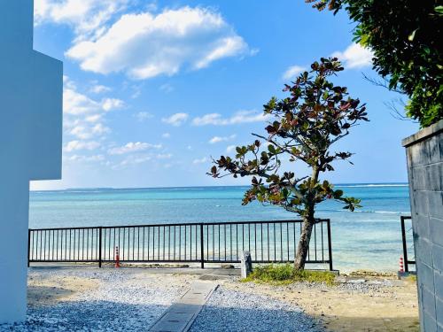 Landskap semula jadi dekat dengan vila ini