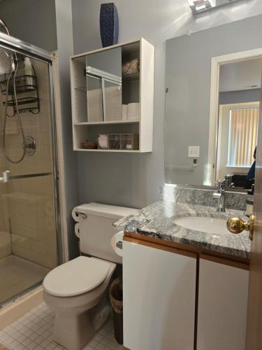 a bathroom with a toilet and a sink and a shower at Entire 2-bedroom, 2 bath home with parking and newly renovated floors in Canton