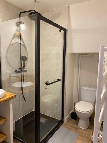 une salle de bain avec douche et toilettes dans l'établissement Chez Julie, à Castres