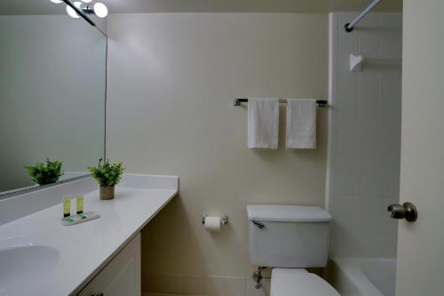 a bathroom with a toilet and a sink and a shower at Prime Crystal City Location Apartment Near Airport in Arlington