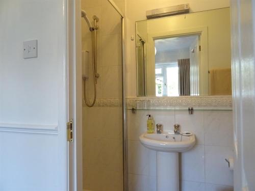 a bathroom with a sink and a mirror at Honey Lodge in Broadstone
