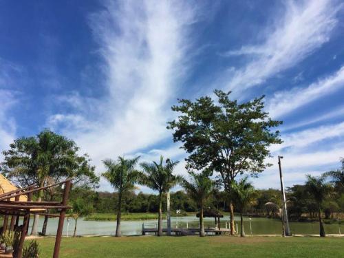 a park with a tree and a body of water at Fazenda JB in Sete Lagoas