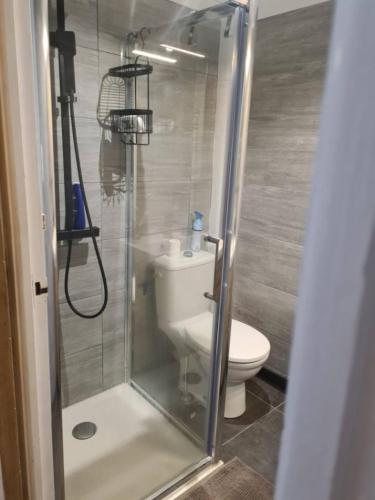 La salle de bains est pourvue de toilettes et d'une douche avec une porte en verre. dans l'établissement Appartement refait neuf, proche du port, à Port-Vendres