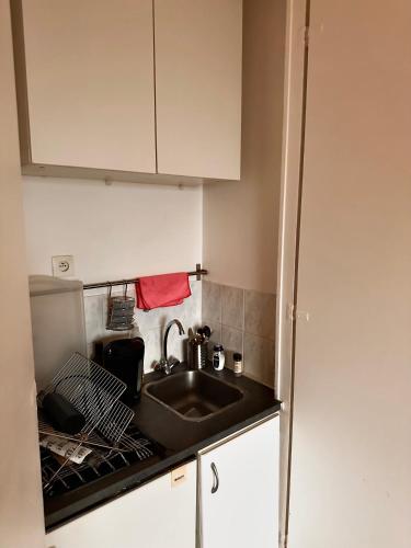 un comptoir de cuisine avec un évier et un micro-ondes dans l'établissement Amazing Studio Paris La Défense, à Courbevoie