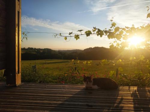 a cat sitting on a porch with the sun setting at Domaine de la Clauzade (Gite) in Saint-Germain-les-Vergnes