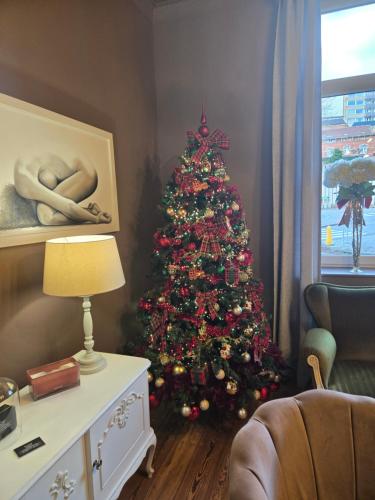 a christmas tree in the corner of a living room at Maison du Roi in Liège