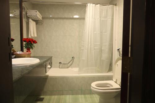Un baño con inodoro, ducha y lavabo. en Claridge Hotel, en Dubái