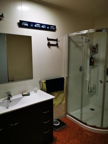 a bathroom with a shower and a sink and a mirror at Karstaway Haven in Takaka