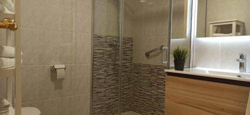 a bathroom with a shower and a sink at Apartamento marrodan centrico in Arnedillo