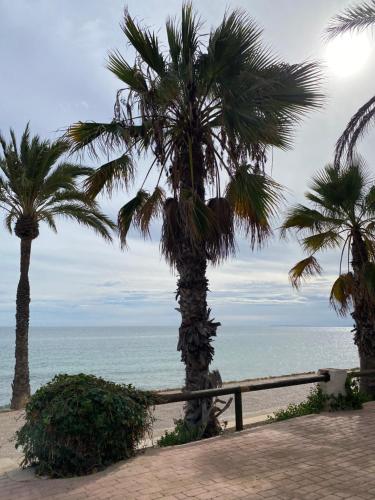 two palm trees on a beach near the ocean at Seaview Apartman Santa Pola in Santa Pola