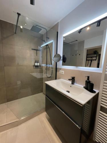 ein Badezimmer mit Waschbecken, Dusche und Spiegel in der Unterkunft Kurpark Apartment, Schwimmbad, Sauna, Terrasse in Bad Wildbad