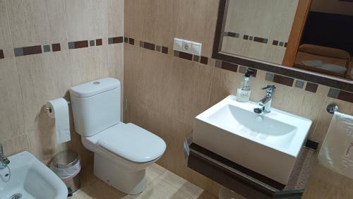 a bathroom with a toilet and a sink at Dulce Posada in Cazorla