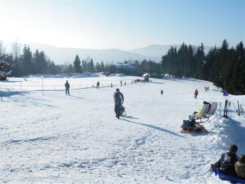 a group of people playing in the snow at Pension Landhaus Riedelstein in Drachselsried