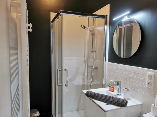 une salle de bain avec une douche, un lavabo et un miroir dans l'établissement Cocon Verde Appartement T2, à Cognac