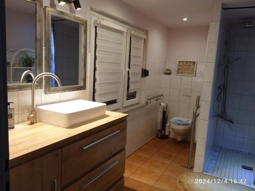 a bathroom with a sink and a shower at Ferienhäuschen Berg und Tal in Harzgerode
