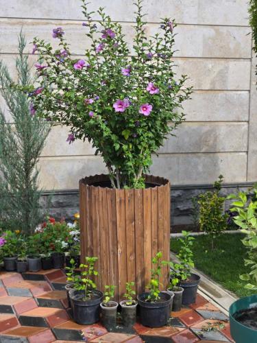 a potted plant in a wooden fence with flowers at Noragavit Villa in Yerevan