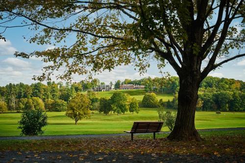 a park bench sitting under a tree in a park at Pendry Natirar in Peapack