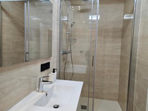 une salle de bain avec un lavabo et une douche dans l'établissement apt cosy proche arena bercy, à Paris