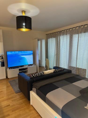 Apartamento Ginebra ch