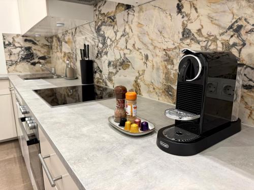 Η κουζίνα ή μικρή κουζίνα στο Elegant und Zentral - Apartment nahe Staatsoper und Altstadt