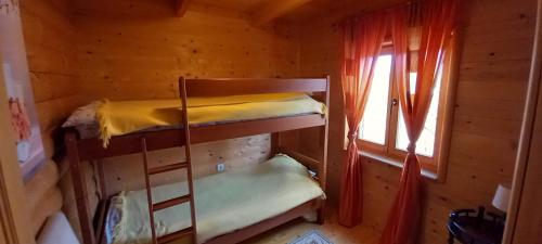 two bunk beds in a wooden cabin with a window at Sunnyside in Žabljak